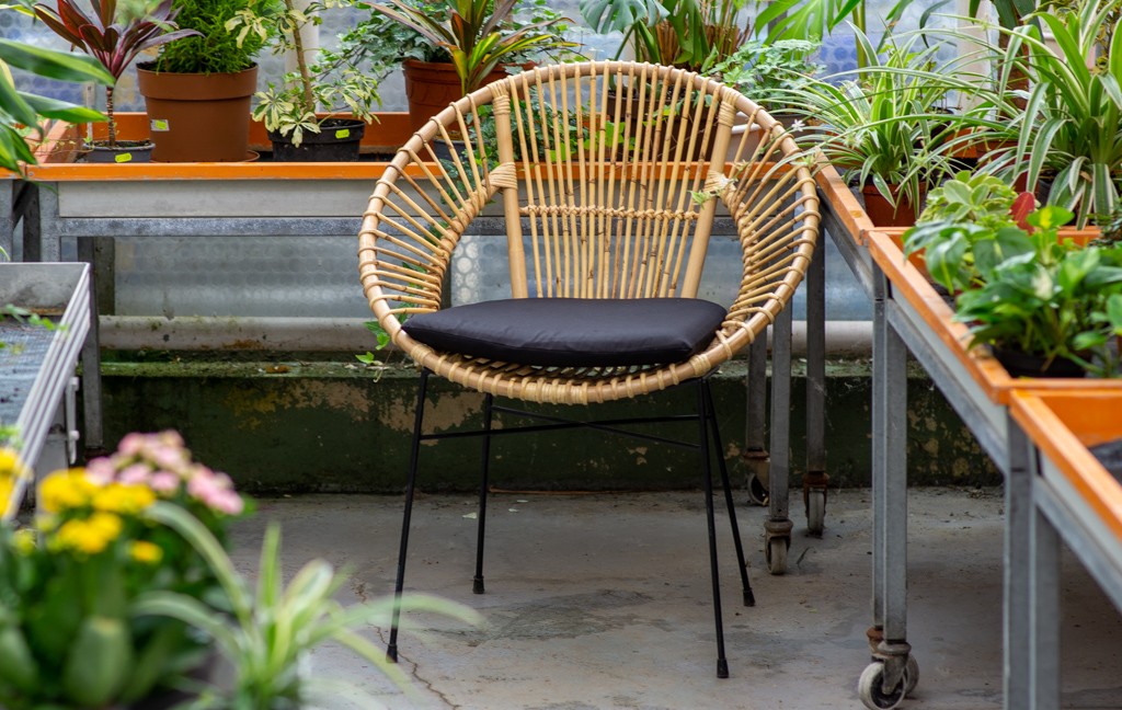 Esszimmerstuhl Korbstuhl Rattan Farbe natur inkl. Sitzkissen GENUA